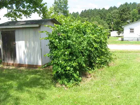 1992 Brogden Rd, Smithfield, NC 27577 photo 22