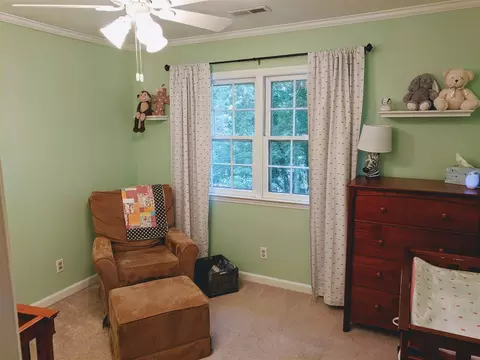 105 Fairntosh Pl, Durham, NC 27712 photo 11