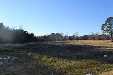 157 Ewing Dr, Selma, NC 27576 photo 3