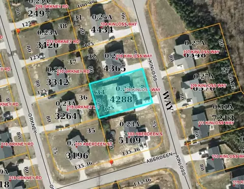 108 Kinloss Way, Stem, NC 27581 photo 25