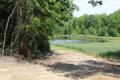 5609 Old Pearce Rd, Wake Forest, NC 27587 photo 25