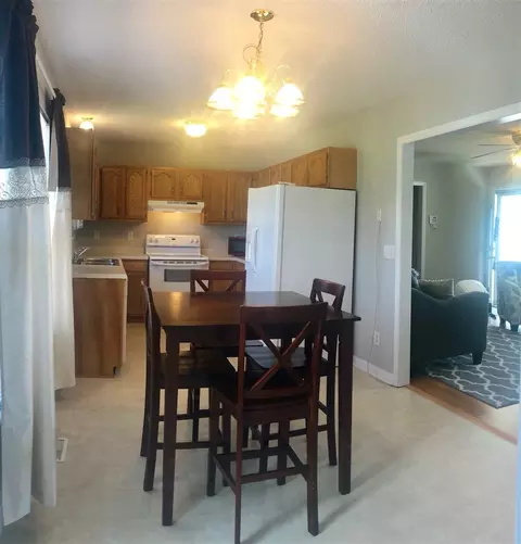 85 River Run Ct, Erwin, NC 28339 photo 3
