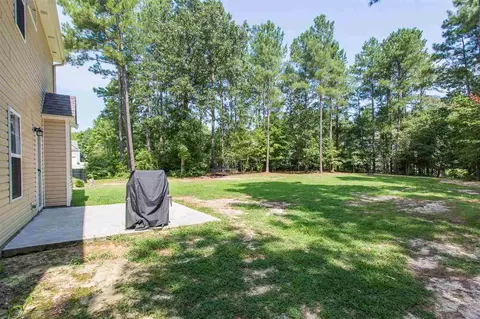 17 Vienna Ct, Angier, NC 27501 photo 15