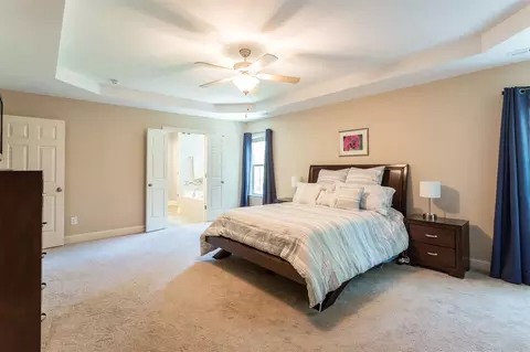17 Vienna Ct, Angier, NC 27501 photo 9