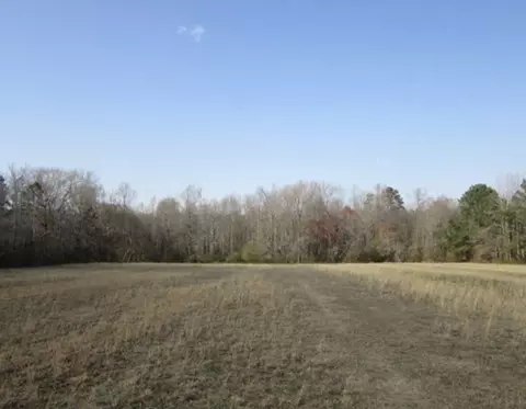 7348 Schooners Rd, Bailey, NC 27807 photo 6