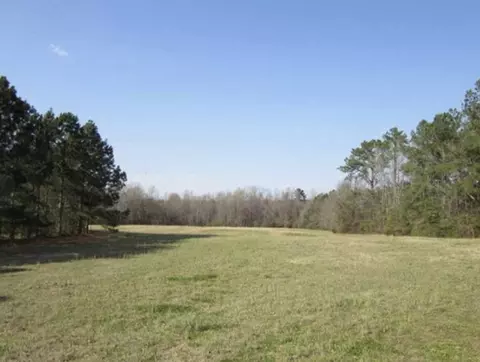 7348 Schooners Rd, Bailey, NC 27807 photo 5