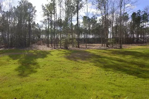 147 Flora Dr, Benson, NC 27504 photo 29