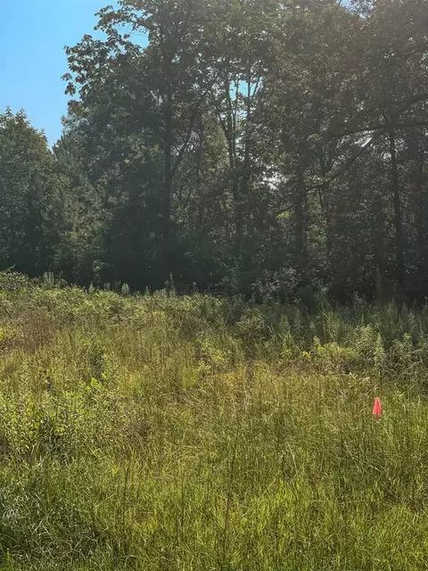 1169 Stone Rd, Durham, NC 27703 photo 2