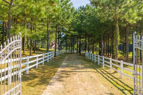 3627 Evergreen Trl, Stem, NC 27581 photo 5