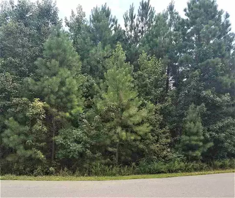 106 Edward Booth Ln, Durham, NC 27713 photo 3