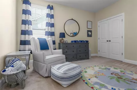 817 Conifer Forest Ln, Wake Forest, NC 27587 photo 22