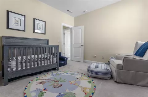 817 Conifer Forest Ln, Wake Forest, NC 27587 photo 23