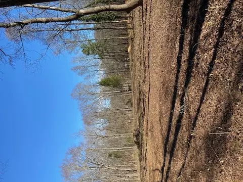 101 Arelean St, Garner, NC 27529 photo 9