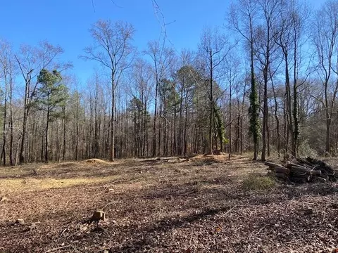 101 Arelean St, Garner, NC 27529 photo 5