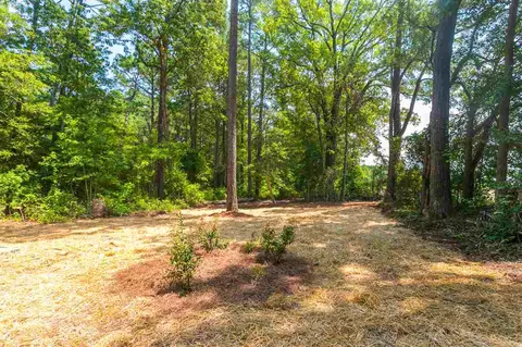 13132 Callens Ln, Willow Spring, NC 27592 photo 21