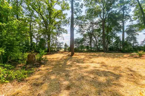 13132 Callens Ln, Willow Spring, NC 27592 photo 20
