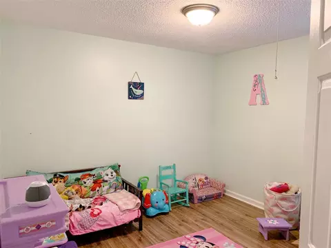 298 Wagon Trl, Willow Spring, NC 27592 photo 25