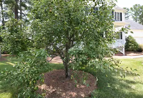 106 Cobblestone Ct, Smithfield, NC 27577 photo 26