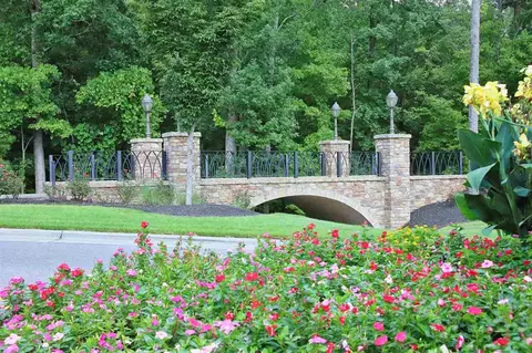 805 Conifer Forest Ln, Wake Forest, NC 27587 photo 30