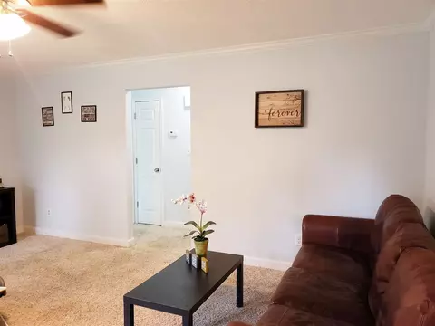 9 Greene Ct, Angier, NC 27501 photo 8