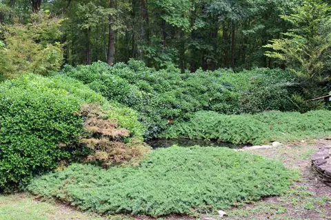3658 Range Rd, Stem, NC 27581 photo 22