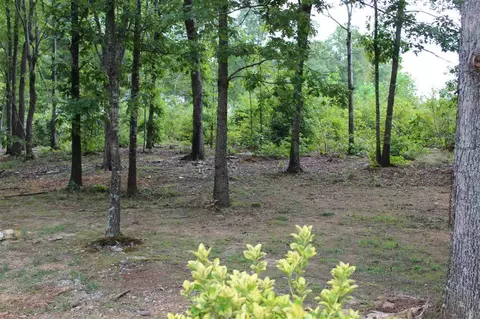3658 Range Rd, Stem, NC 27581 photo 14