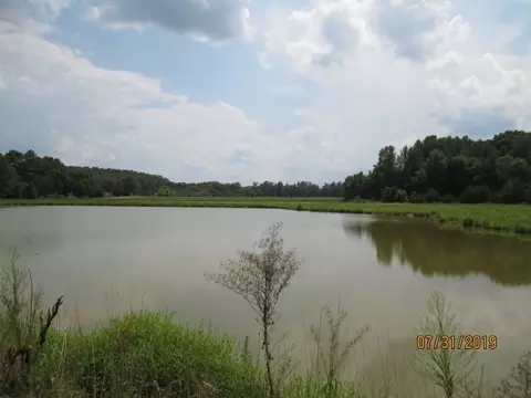 500 Bacon Rd, Rougemont, NC 27572 photo 4