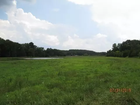 500 Bacon Rd, Rougemont, NC 27572 photo 5