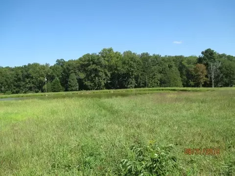 500 Bacon Rd, Rougemont, NC 27572 photo 2