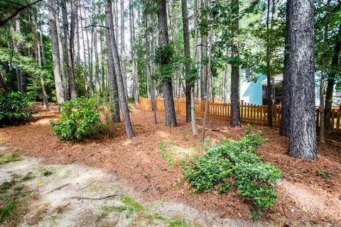 115 Rustic Pine Ct, Apex, NC 27502 photo 24