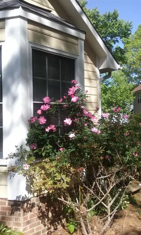 4 Dandywood Ln, Durham, NC 27713 photo 4