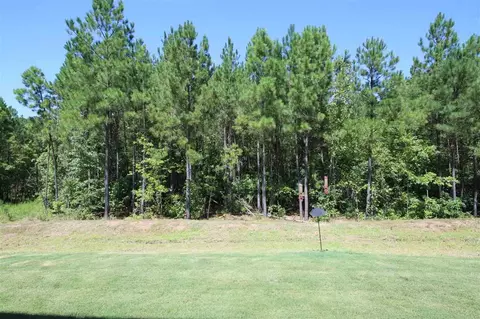 914 Adeline Ct, Durham, NC 27713 photo 17