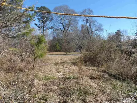 896 Capps Rd, Pine Level, NC 27576 photo 2