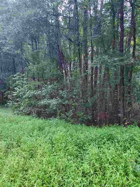 302 Scheer Ave, Durham, NC 27703 photo 1