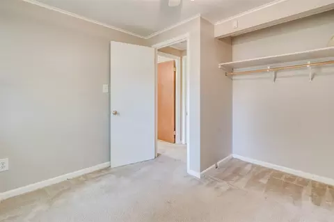 923 Spruce Pine Trl, Durham, NC 27705 photo 17