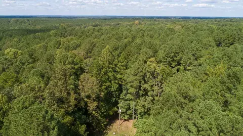 236 Oakcrest Dr, Wake Forest, NC 27587 photo 4