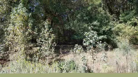 0 River Point Rd, Moncure, NC 27559