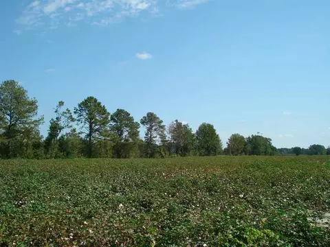 947 Obj Rd, Dunn, NC 28334 photo 17