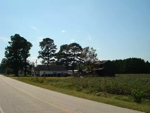 947 Obj Rd, Dunn, NC 28334 photo 22