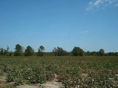 947 Obj Rd, Dunn, NC 28334 photo 7