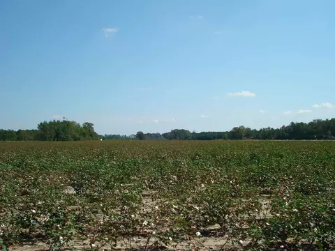 947 Obj Rd, Dunn, NC 28334 photo 2