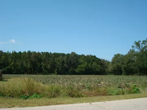 947 Obj Rd, Dunn, NC 28334 photo 13