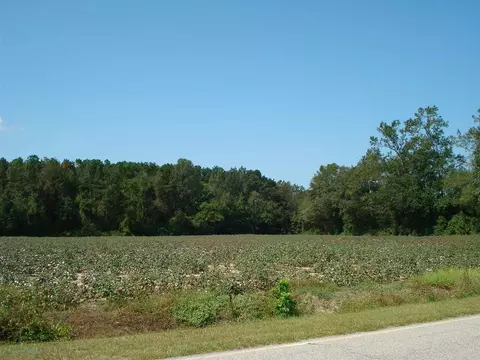 947 Obj Rd, Dunn, NC 28334 photo 14