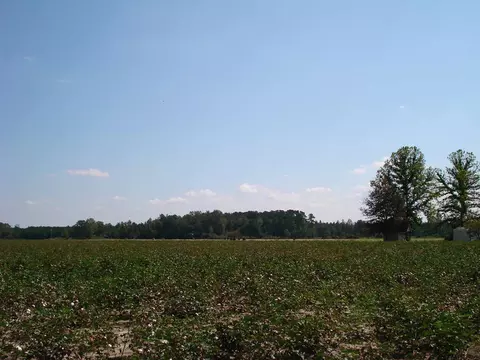 947 Obj Rd, Dunn, NC 28334 photo 5