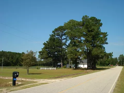 947 Obj Rd, Dunn, NC 28334 photo 9