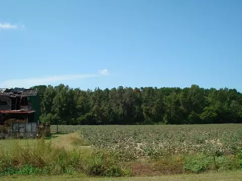947 Obj Rd, Dunn, NC 28334 photo 15