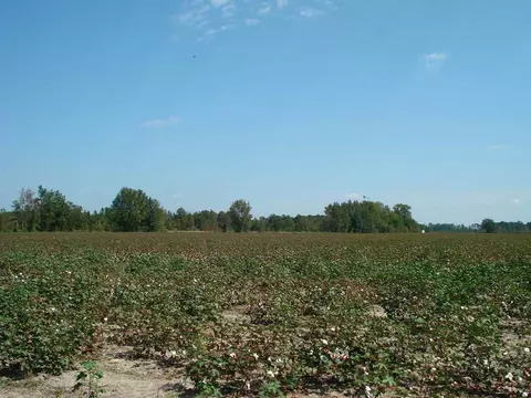 947 Obj Rd, Dunn, NC 28334 photo 3