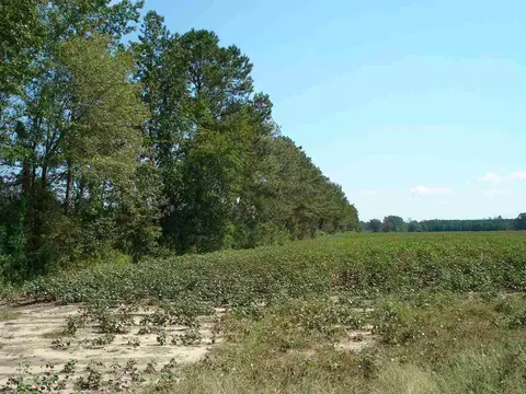 947 Obj Rd, Dunn, NC 28334 photo 23