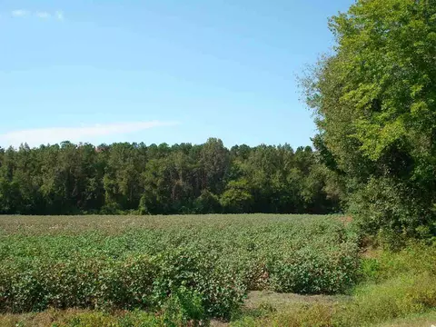 947 Obj Rd, Dunn, NC 28334 photo 20