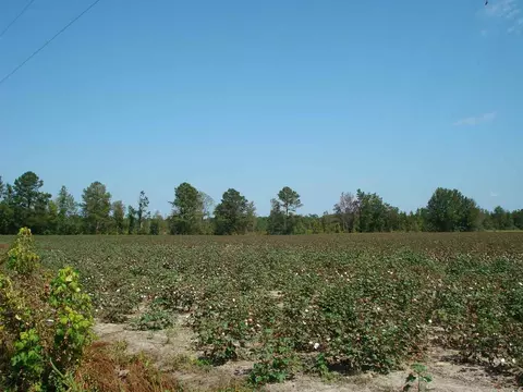 947 Obj Rd, Dunn, NC 28334 photo 4